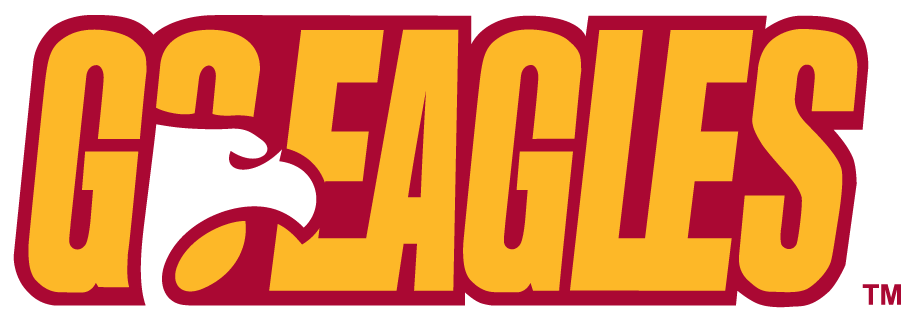 Winthrop Eagles 1995-2017 Alternate Logo DIY iron on transfer (heat transfer)
